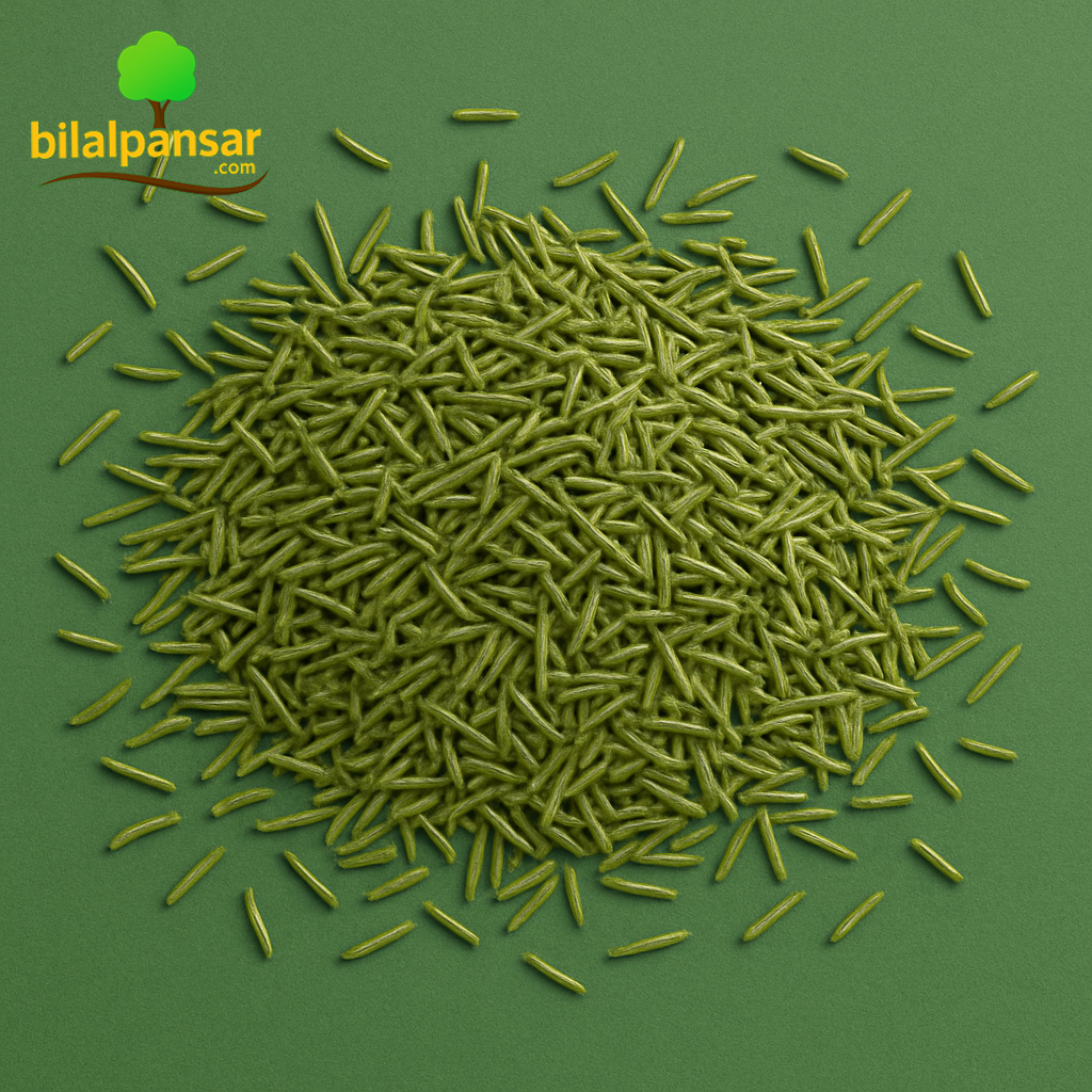 Rosemary Leaves, 500 gm